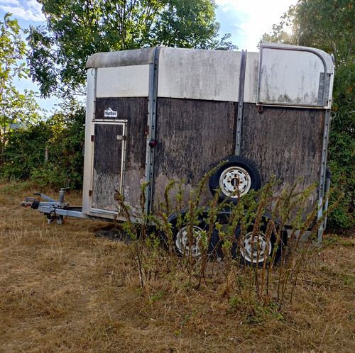 Hunter stall horse trailer - hunter,