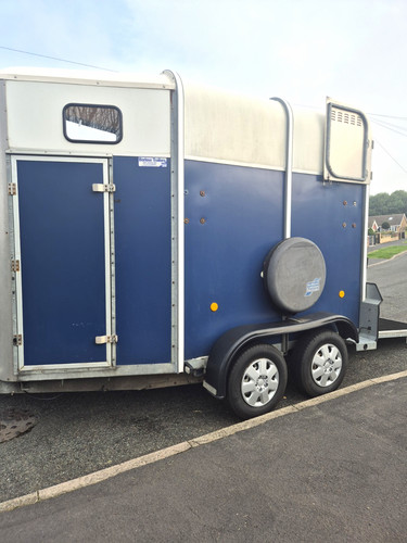 Ifor williams 401 single - ifor, horse