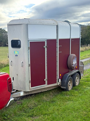 Ifor williams hb505 - ifor, horse