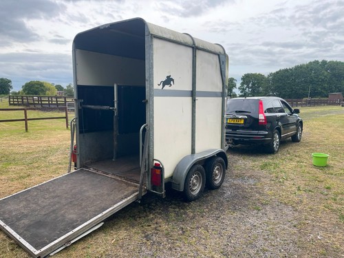 Batesman horsetrailer white - horsetrailer,