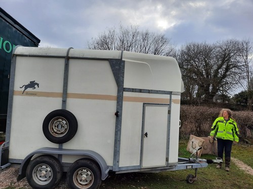 Bateson horse trailer - horse, white
