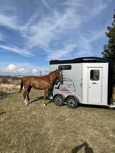 Cheval liberté horse trailer - cheval,